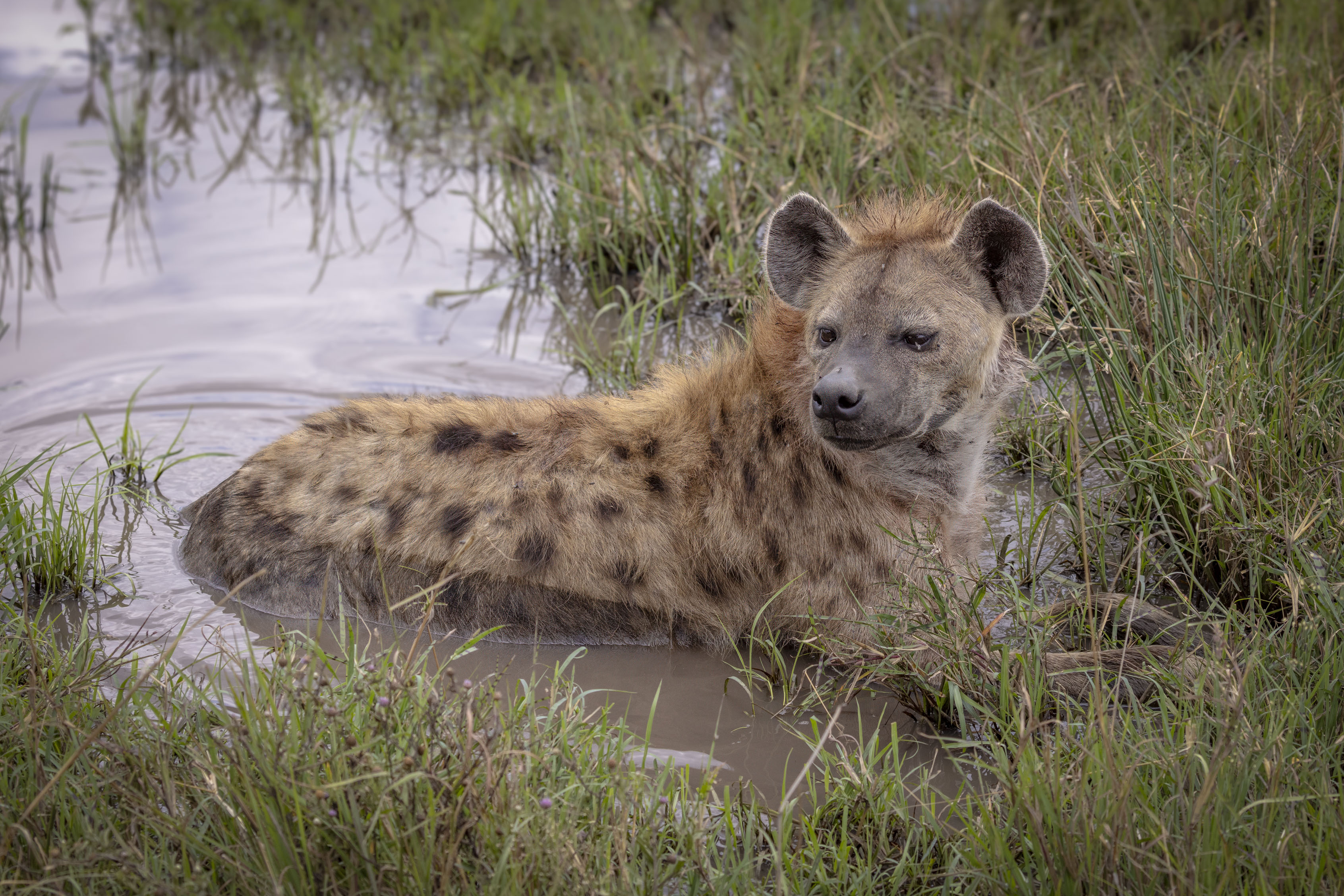 November 10, 2022-120901-11-Edit.jpg